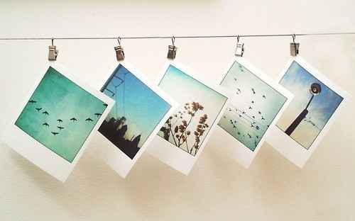 fotos