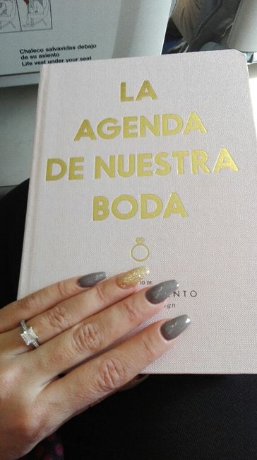  Novia novata - 1