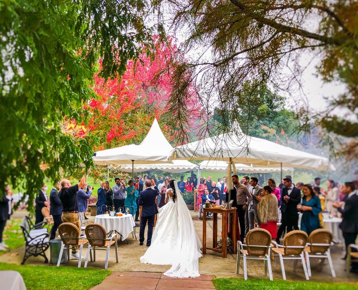 ¿Con cuántos ❤️ valoras el día de tu boda? 14