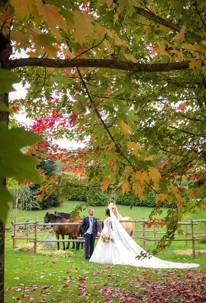 ¿Con cuántos ❤️ valoras el día de tu boda? - 2