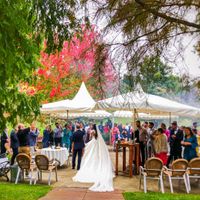 ¿Con cuántos ❤️ valoras el día de tu boda? - 5