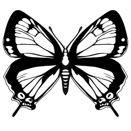 Mariposas