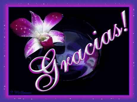Chicas del 2013 - 7