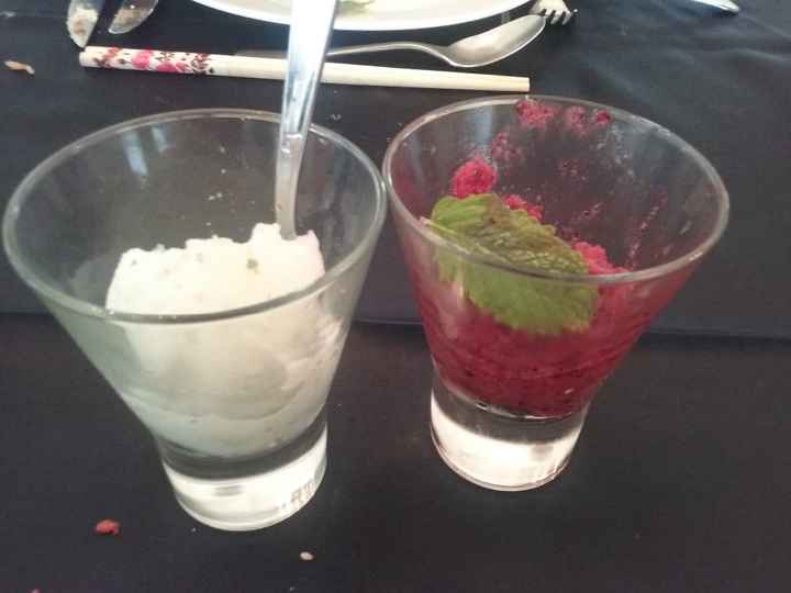 Sorbete de mojito y de frutas del bosque (empezados)