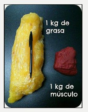 Grupo para adelgazar!! - 1