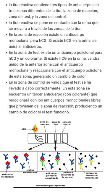 Test easyhome, defectuoso?? - 1