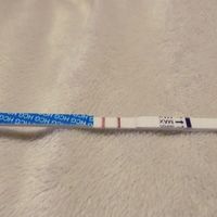 Test easyhome, defectuoso?? - 1