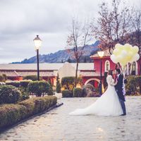 Empresa para suelta de globos? - 5