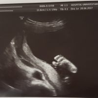 Nuevo! futuras mamis noviembre 2017 - 2
