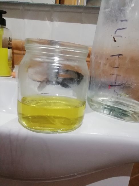 Test positivo o negativo? 3