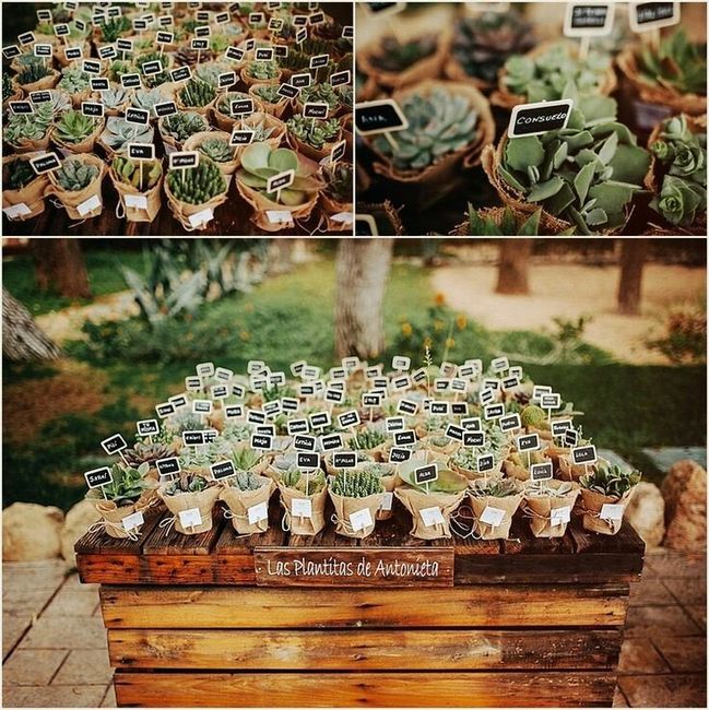 Extras para invitados en el banquete - 3
