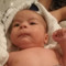 Laia