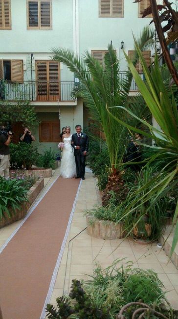 Alfombra rosa - 1