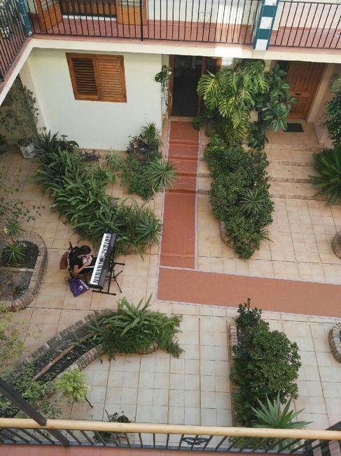 Alfombra rosa - 2