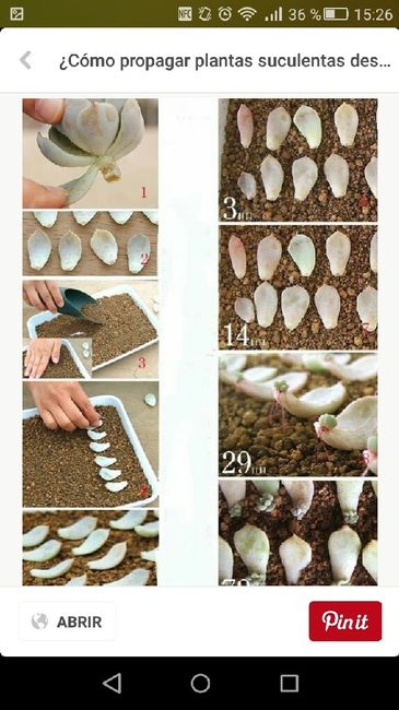 Detalles de boda para mujeres ? - 1