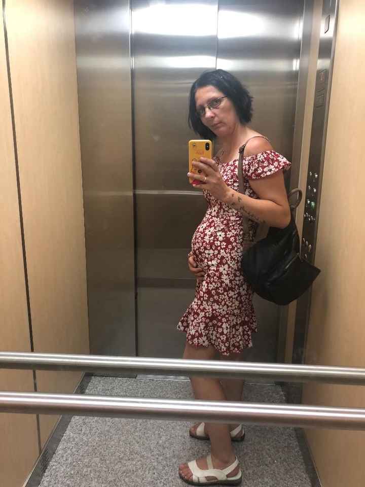 Barriga hinchada 5 semanas 1