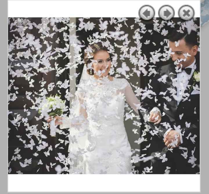 CAÑON BODA DE MARIPOSAS, Rodeados de mariposas 🦋🦋🦋 en uno de los días  mas especiales Una forma original y bonita de confeti para bodas muy  especiales, el amor flota en el