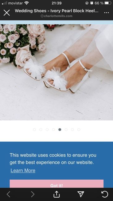 Zapatos Boda 1