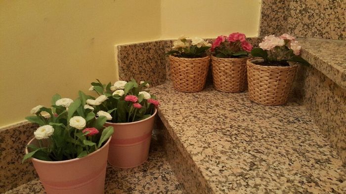 Mis cositas van en marcha! - 7