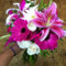 Anna-