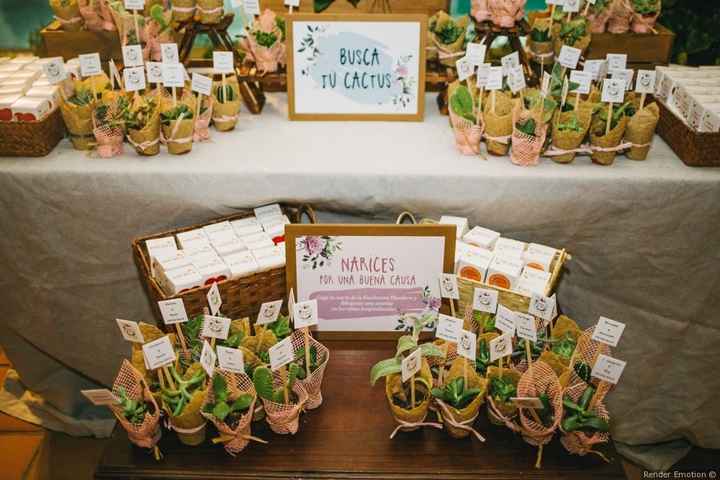 Cactus solidarios