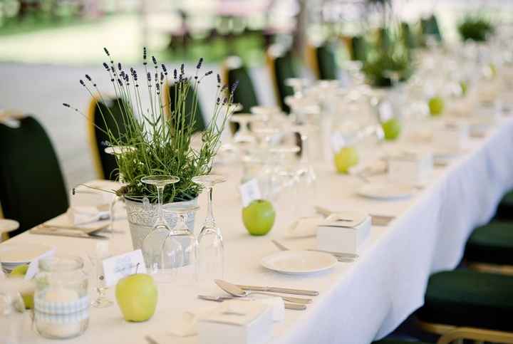 ¿Plantas aromáticas en la boda? ¡SÍ QUIERO! - 1