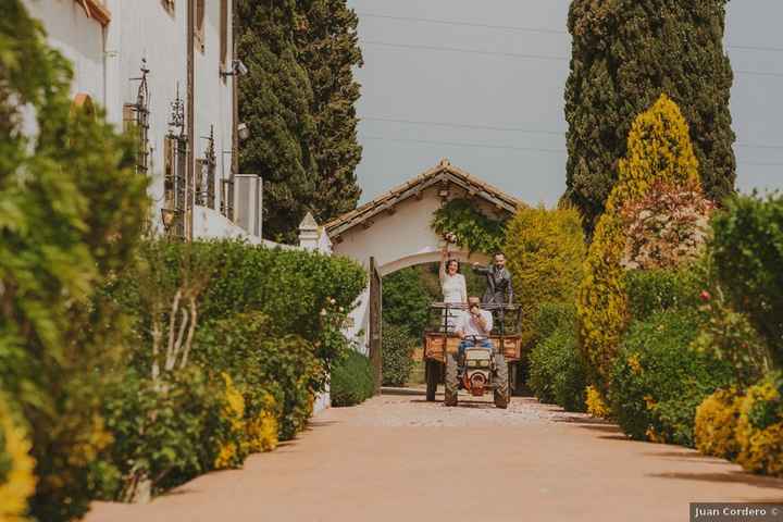 Llegada al banquete... ¡en un transporte único! 🚜 - 2