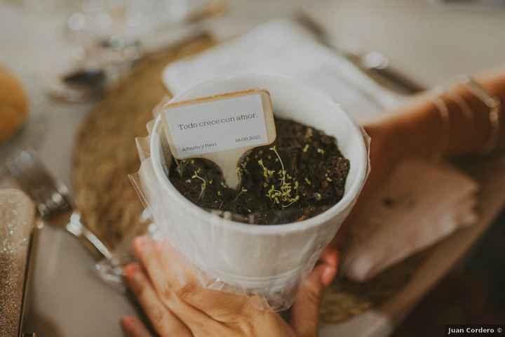 ¡Todo crece con amor! (Regalo que enamorará a tus invitados) - 1