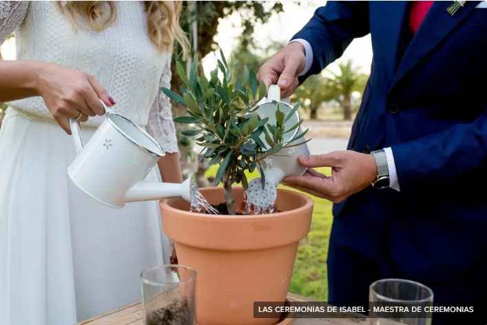 Ceremonia de la plantación: ¿la incluirías en tu boda? - 1