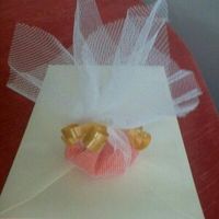 Presentacion del arroz
