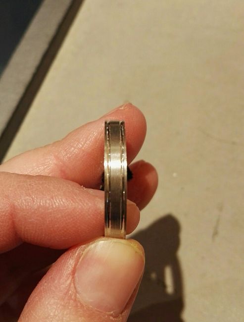  Ya tenemos anillos - 2
