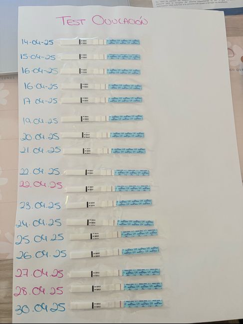 🌹 Buscadoras Mayo 2025 🌹 - 1