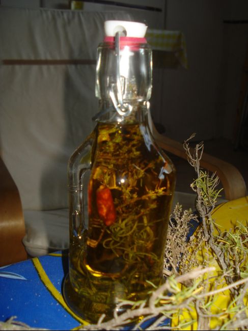 regalo
