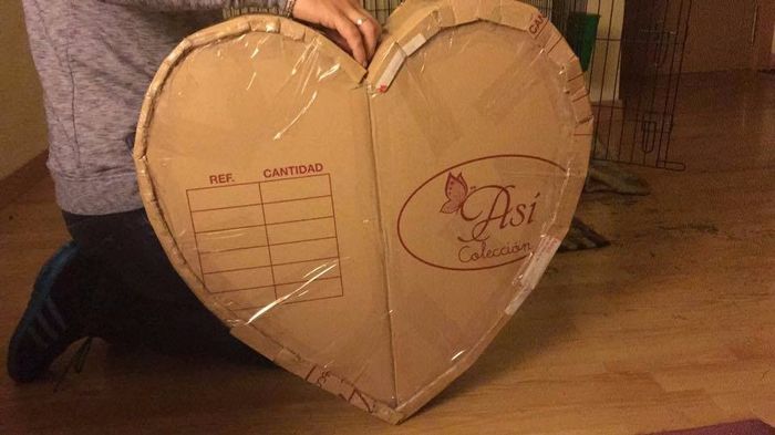 corazon cerrado