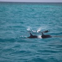  Excursiones imprescindibles Maldivas - 1
