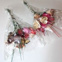 Ramo artificial - 1