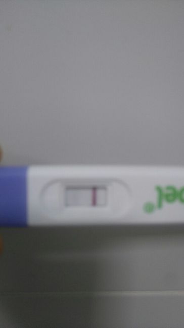 Ayuda test embarazo - 2