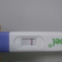Ayuda test embarazo - 2
