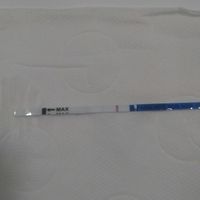 Ayuda test embarazo - 1