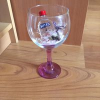 Kit gin tonic con copa por poco más de 2€ - 2