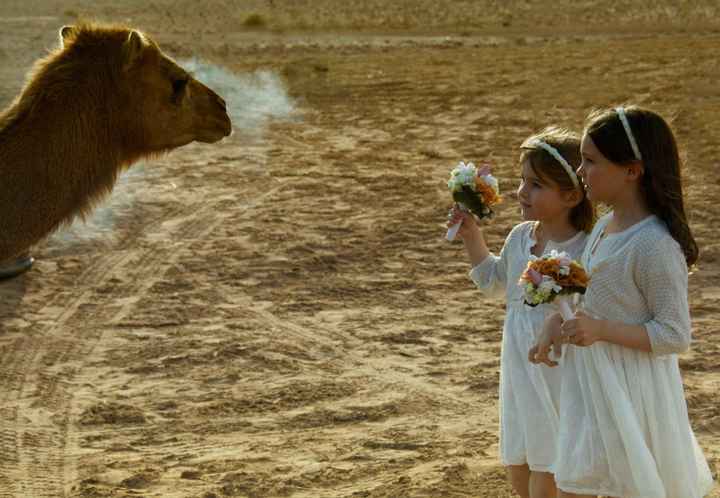 niñas con dromedario