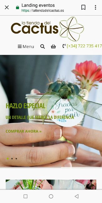 Crasas o suculentas - 1