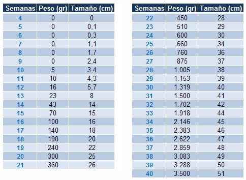 Tabla peso y longitud