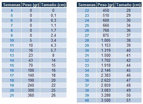 Tabla peso y longitud