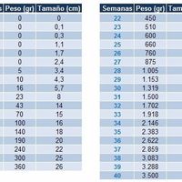 Tabla peso y longitud