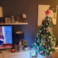 ¿Soléis decorar vuestra casa con adornos navideños? - 1