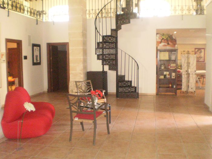 salon de organza