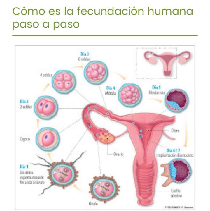 Buscadoras Noviembre 2022 - 1