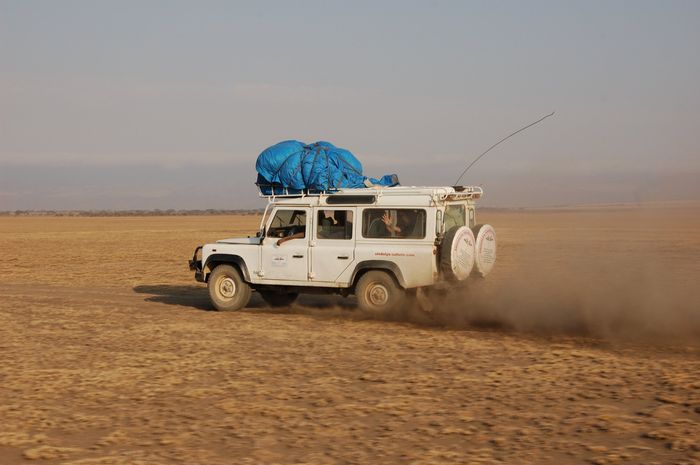 safari