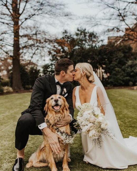 📸 12 ideas de fotos de boda originales 9
